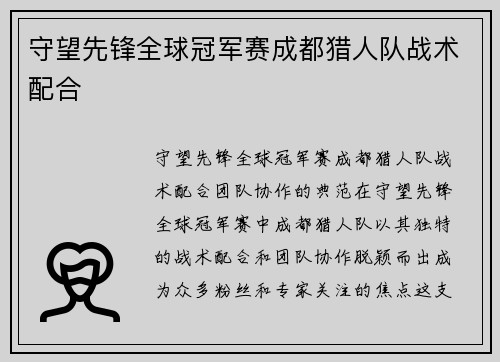 守望先锋全球冠军赛成都猎人队战术配合