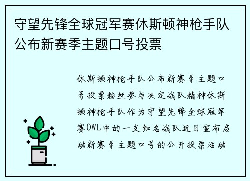 守望先锋全球冠军赛休斯顿神枪手队公布新赛季主题口号投票