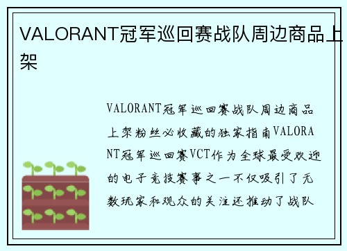 VALORANT冠军巡回赛战队周边商品上架