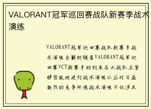 VALORANT冠军巡回赛战队新赛季战术演练